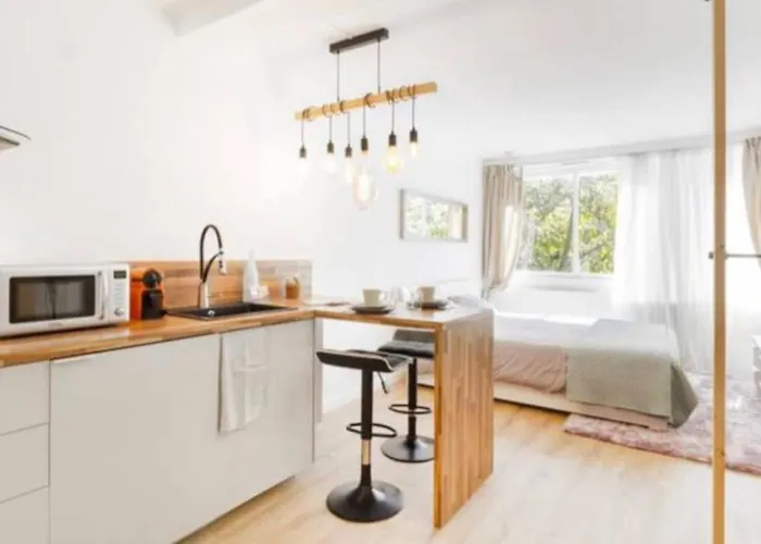 Grand Studio*victor Hugo*centre * 圖盧茲